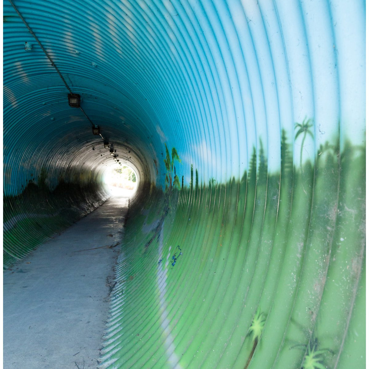 North shore cycle tracks