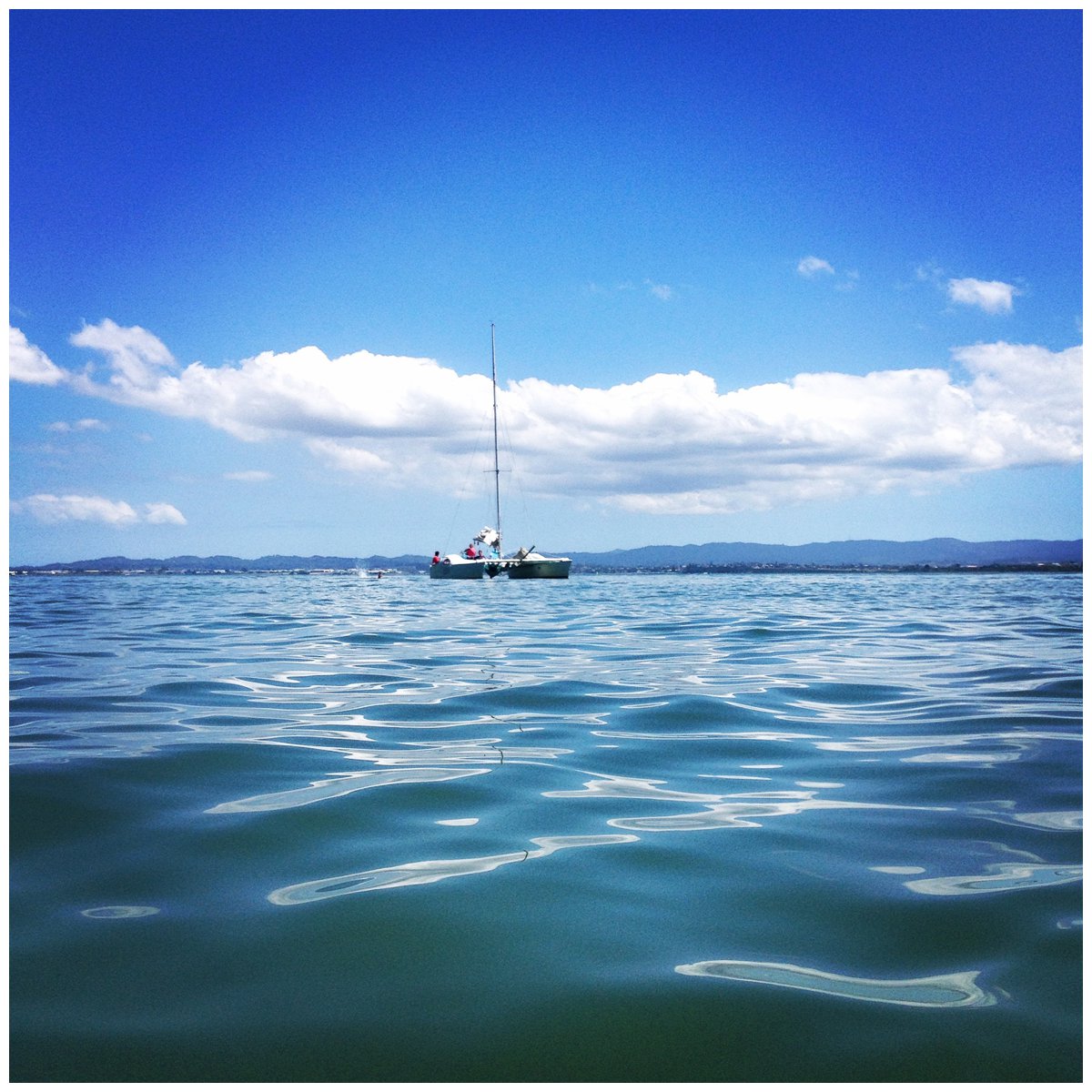 Kauri Point