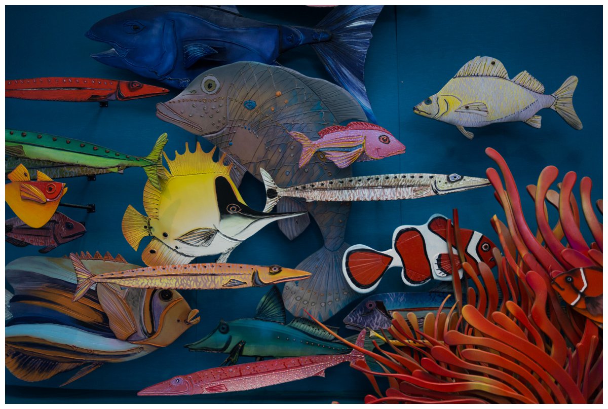 National Aquarium of New Zealand