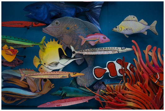 National Aquarium of New Zealand