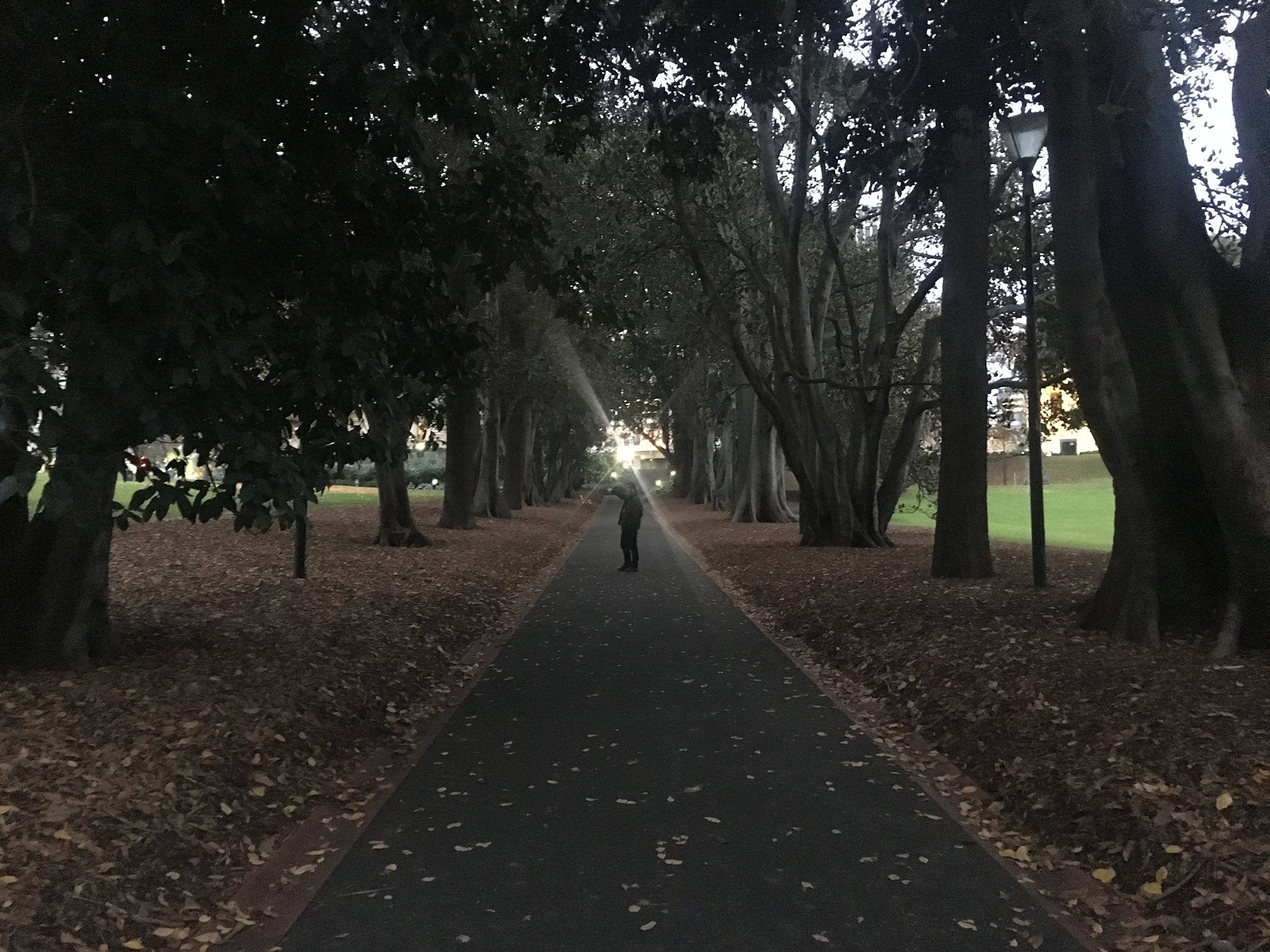 Date night in Melbourne
