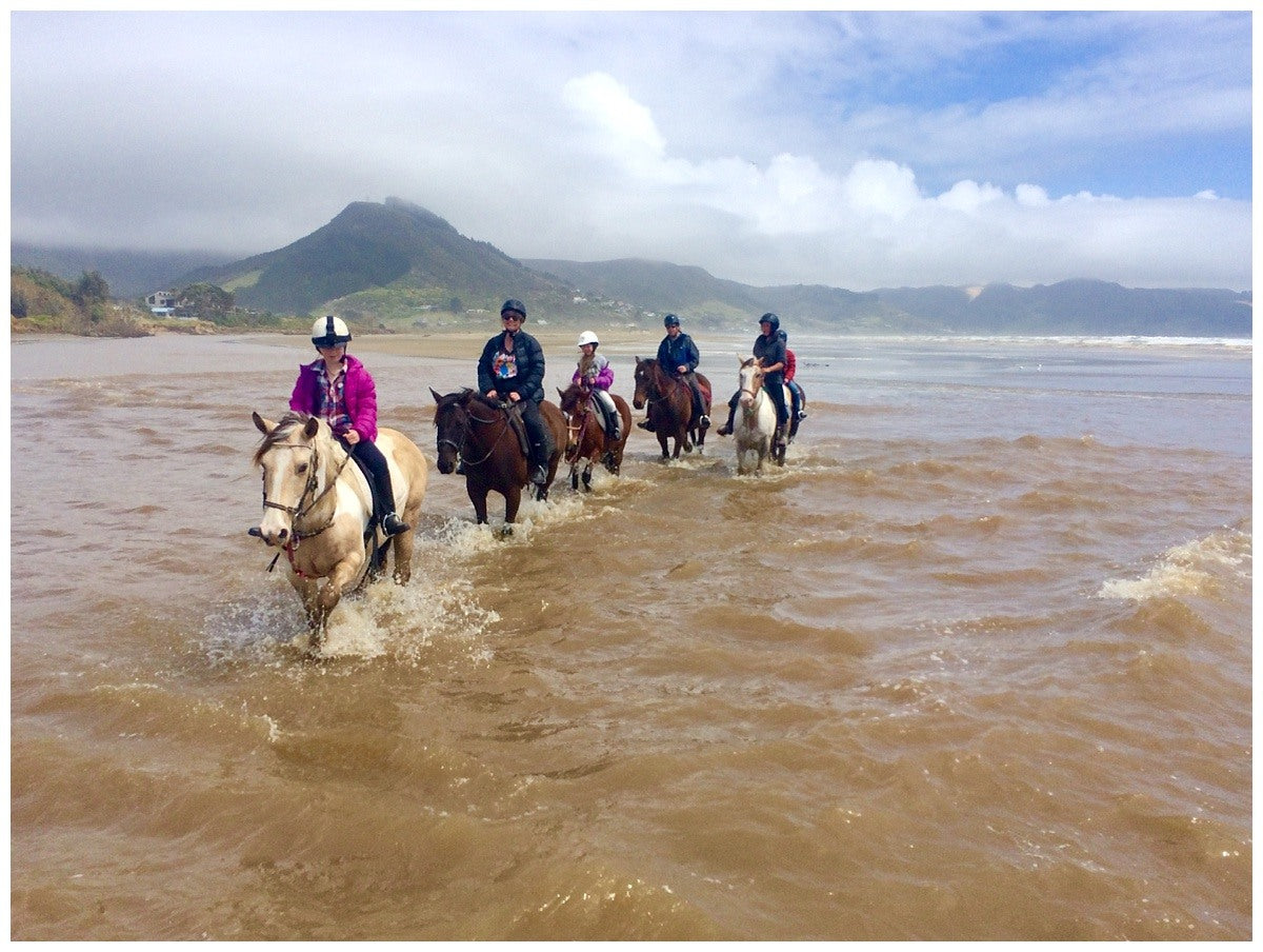 Ahipara Horse Treks