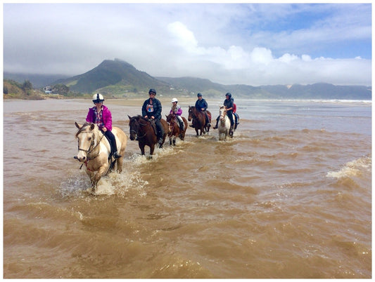 Ahipara Horse Treks