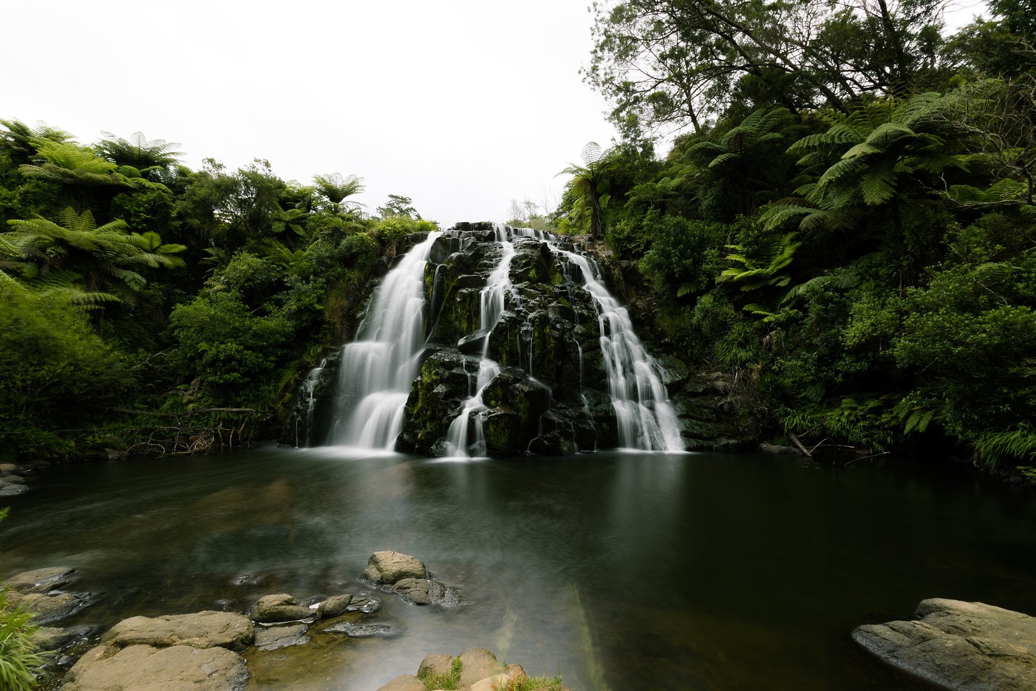 The Falls, Coromandel