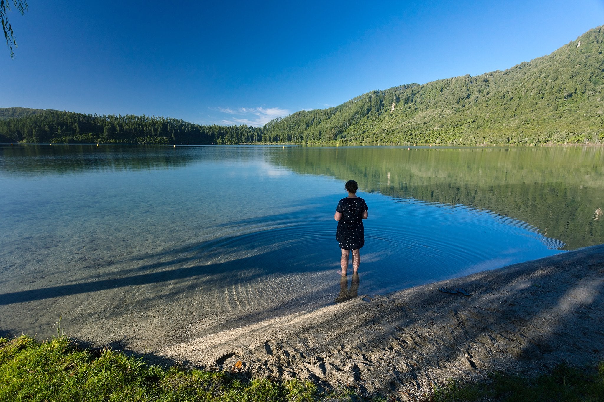 Blue Lake Rotorua
