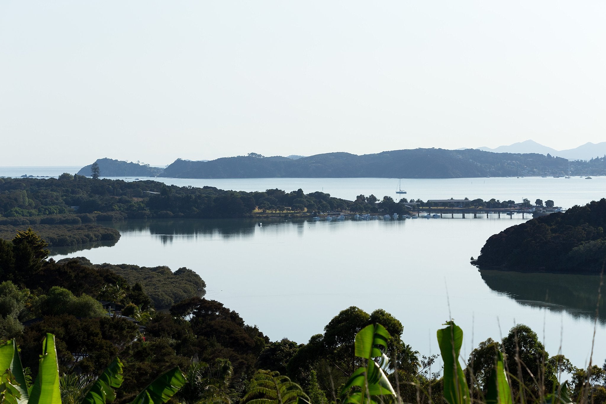 Paihia Countdown Online Shopping