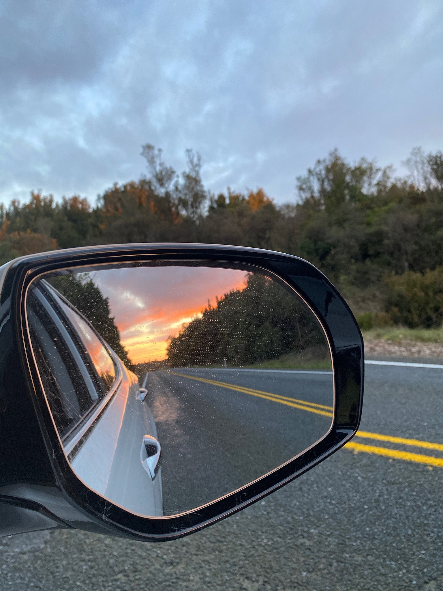 5 amazing finds on the outskirts of Rotorua