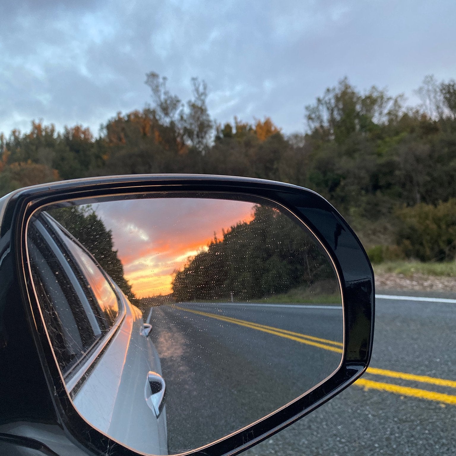 5 amazing finds on the outskirts of Rotorua