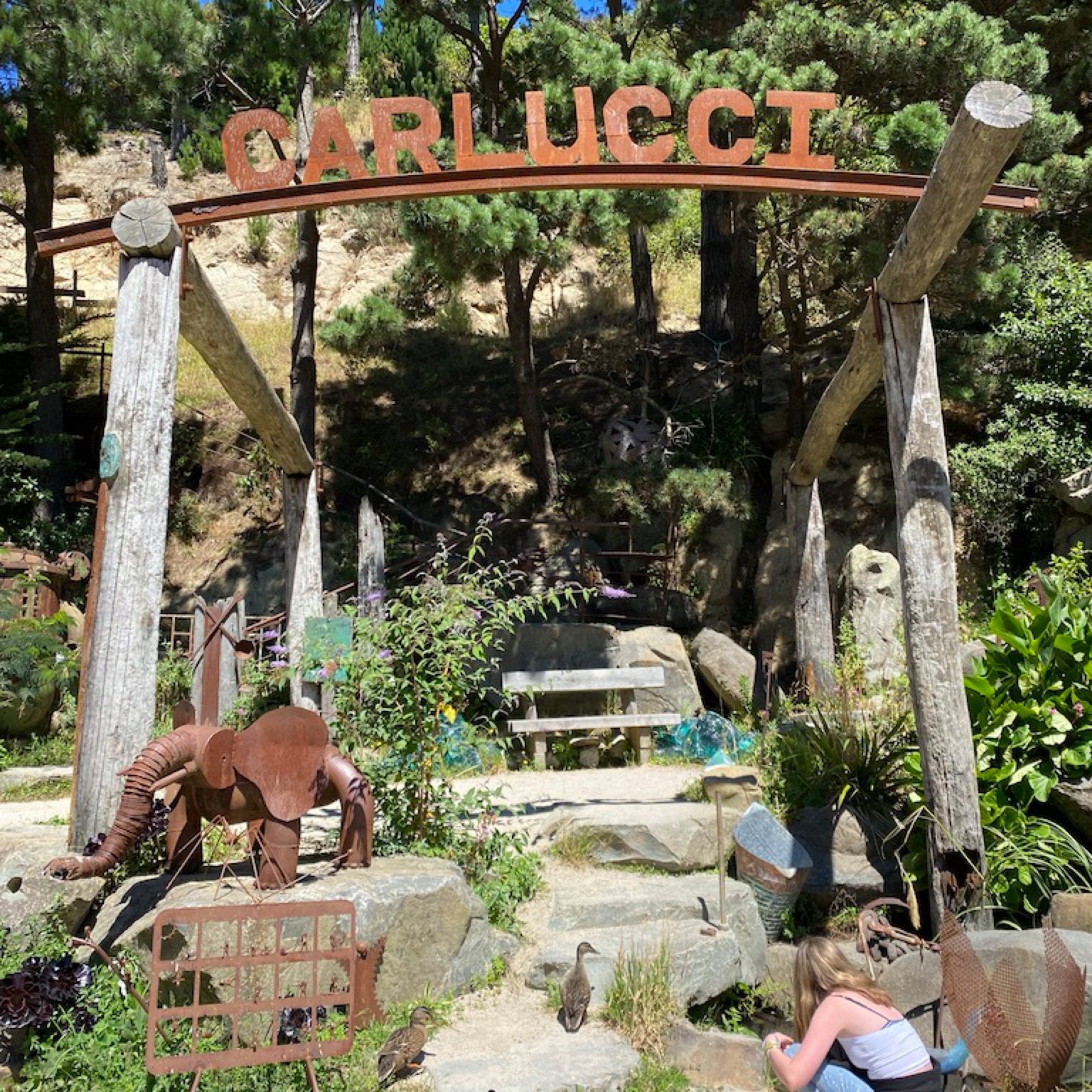 Carlucci Land
