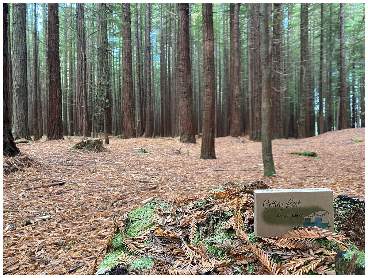 Redwood forest Getting Lost