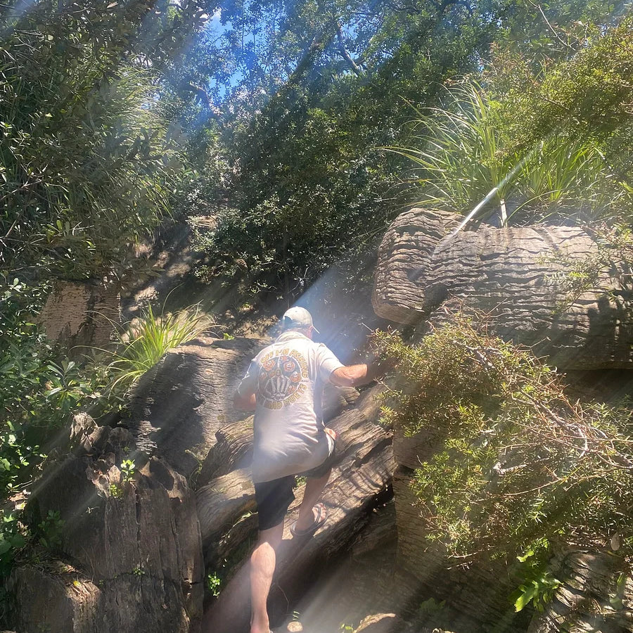 Across that stream, find the path and then you’ll find the Waipu Pancake Rocks