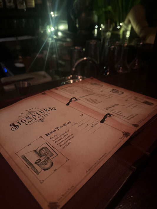 Finding Sydney’s hidden bars with a bag full of Bluey toys