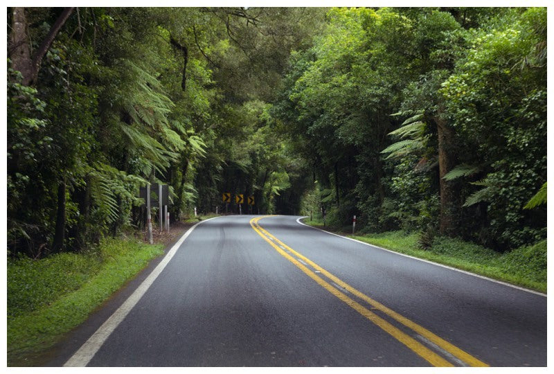 Taking the alternate route to Taupo