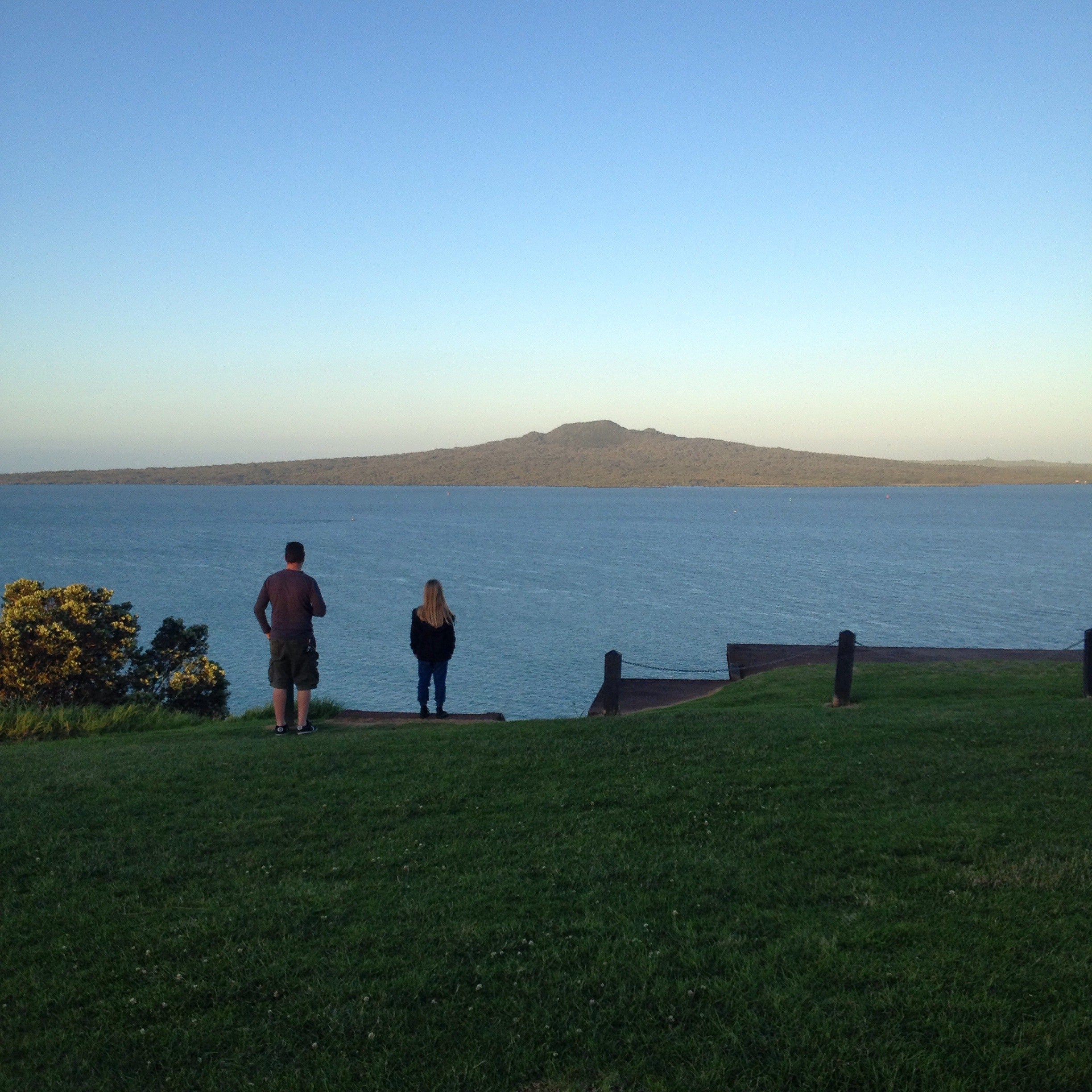 Auckland free