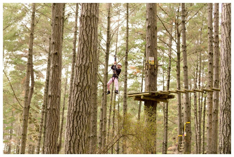 Tree Adventures