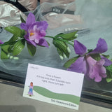 The Solo Adventurers Edition