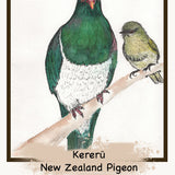 The NZ Bird Edition