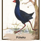 The NZ Bird Edition