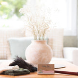 The Cleaning Edition