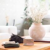 The Cleaning Edition