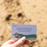 The Beachcomber Edition - PRESALE