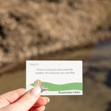 The Beachcomber Edition - PRESALE