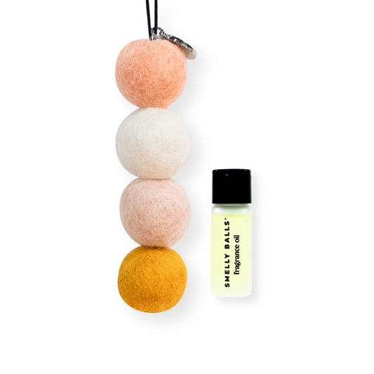 Smelly Balls Reusable Air Freshener