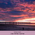 Load image into Gallery viewer, Add a Suitcase
